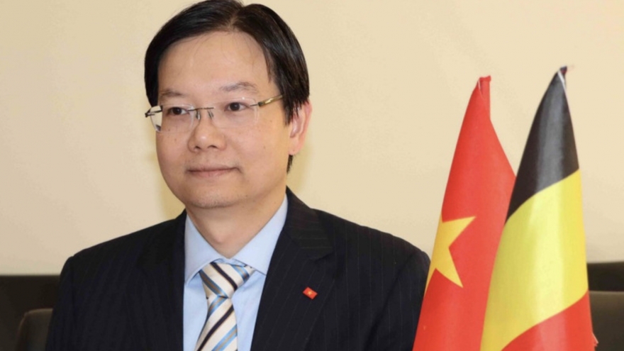 Belgian firms suggested to expand presence in Vietnamese market